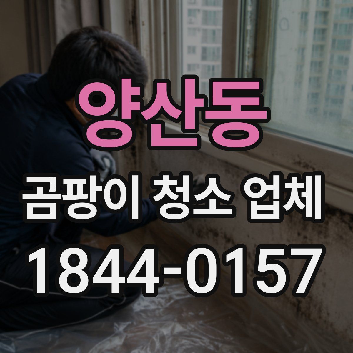 양산동 곰팡이 청소 업체