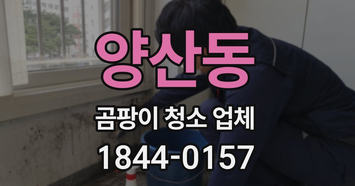 양산동 곰팡이 청소 업체