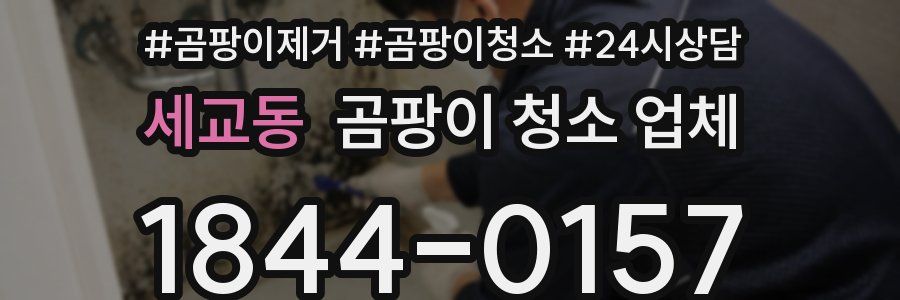 세교동 곰팡이 청소 업체