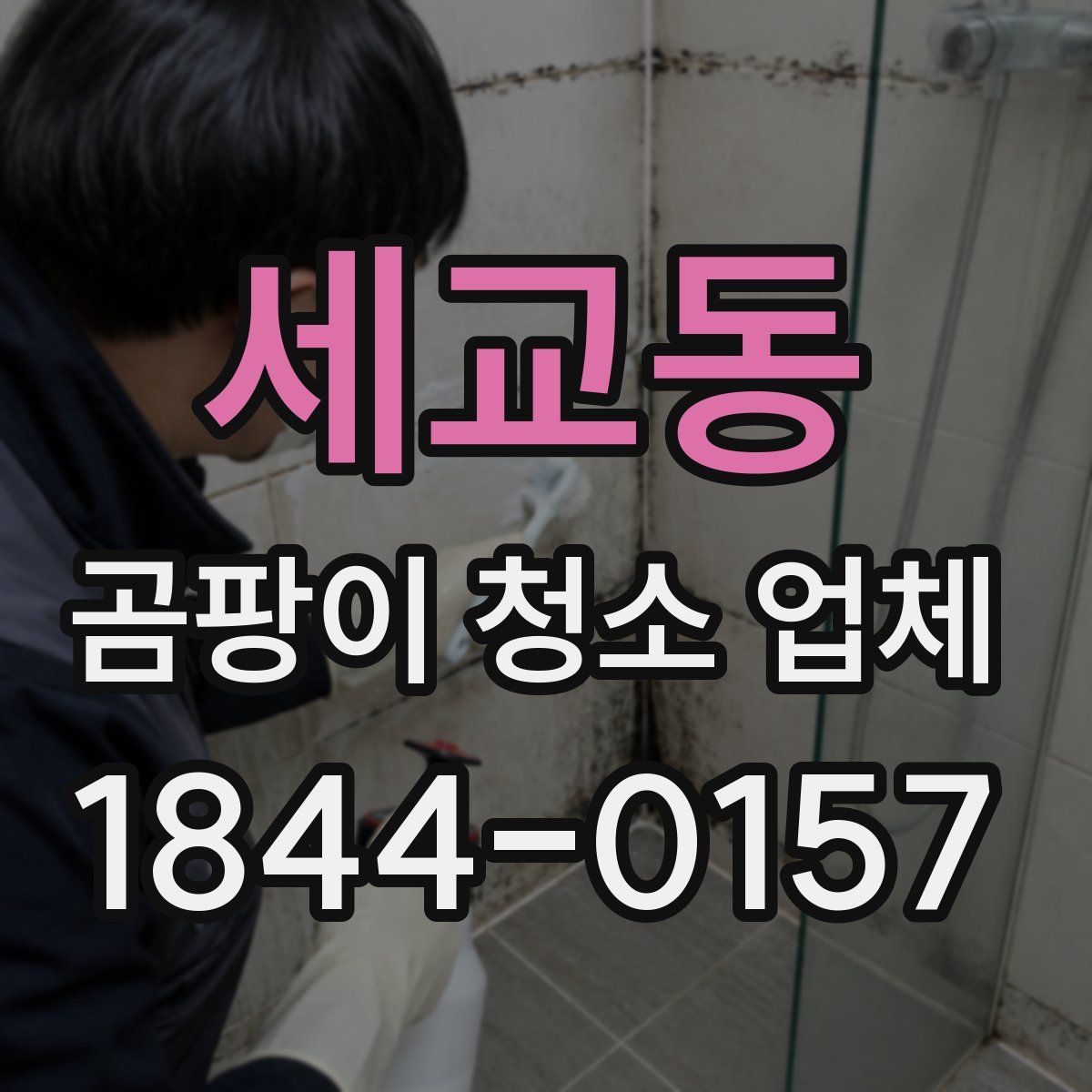 세교동 곰팡이 청소 업체