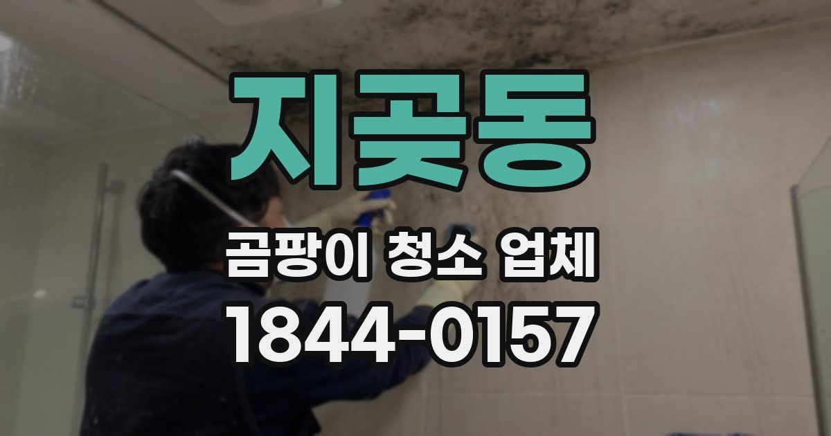 지곶동 곰팡이 청소 업체