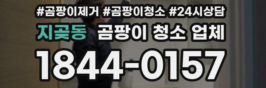 지곶동 곰팡이 청소 업체