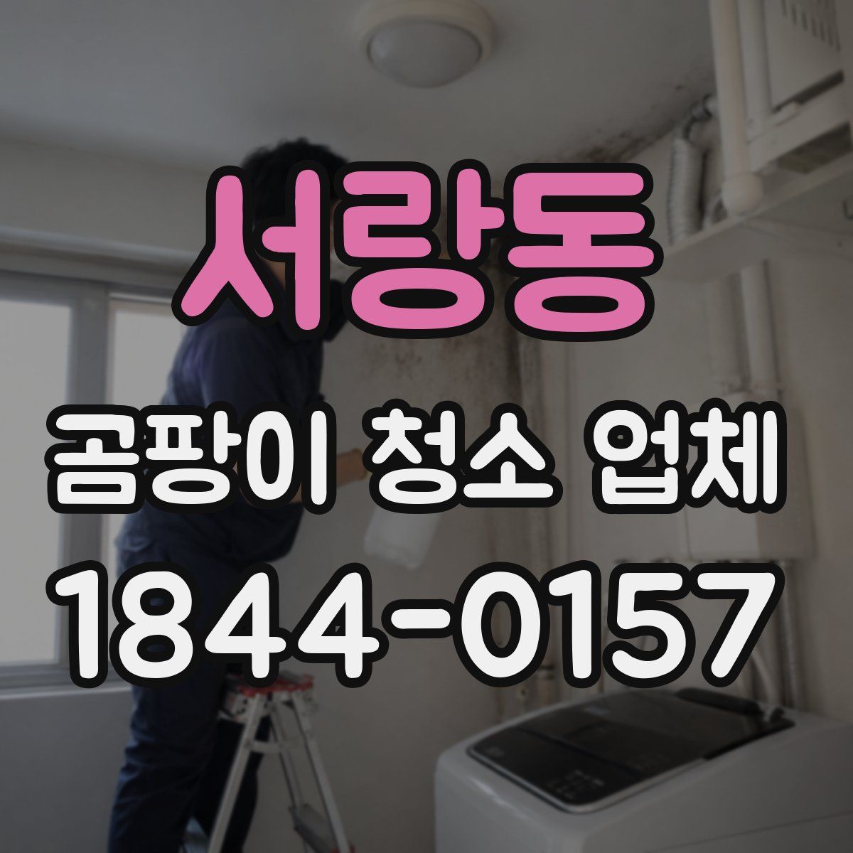 서랑동 곰팡이 청소 업체
