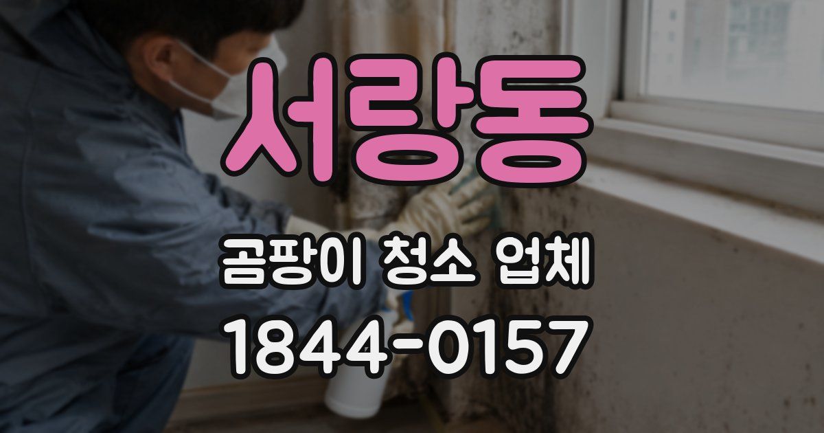 서랑동 곰팡이 청소 업체