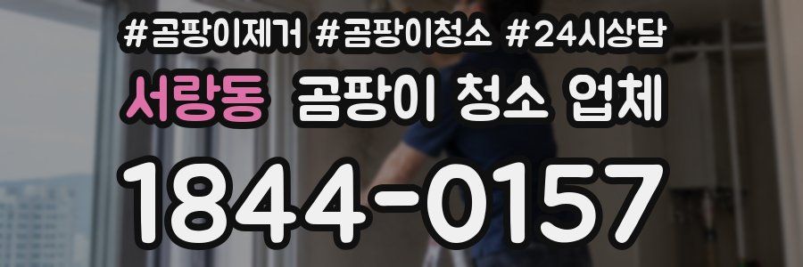 서랑동 곰팡이 청소 업체