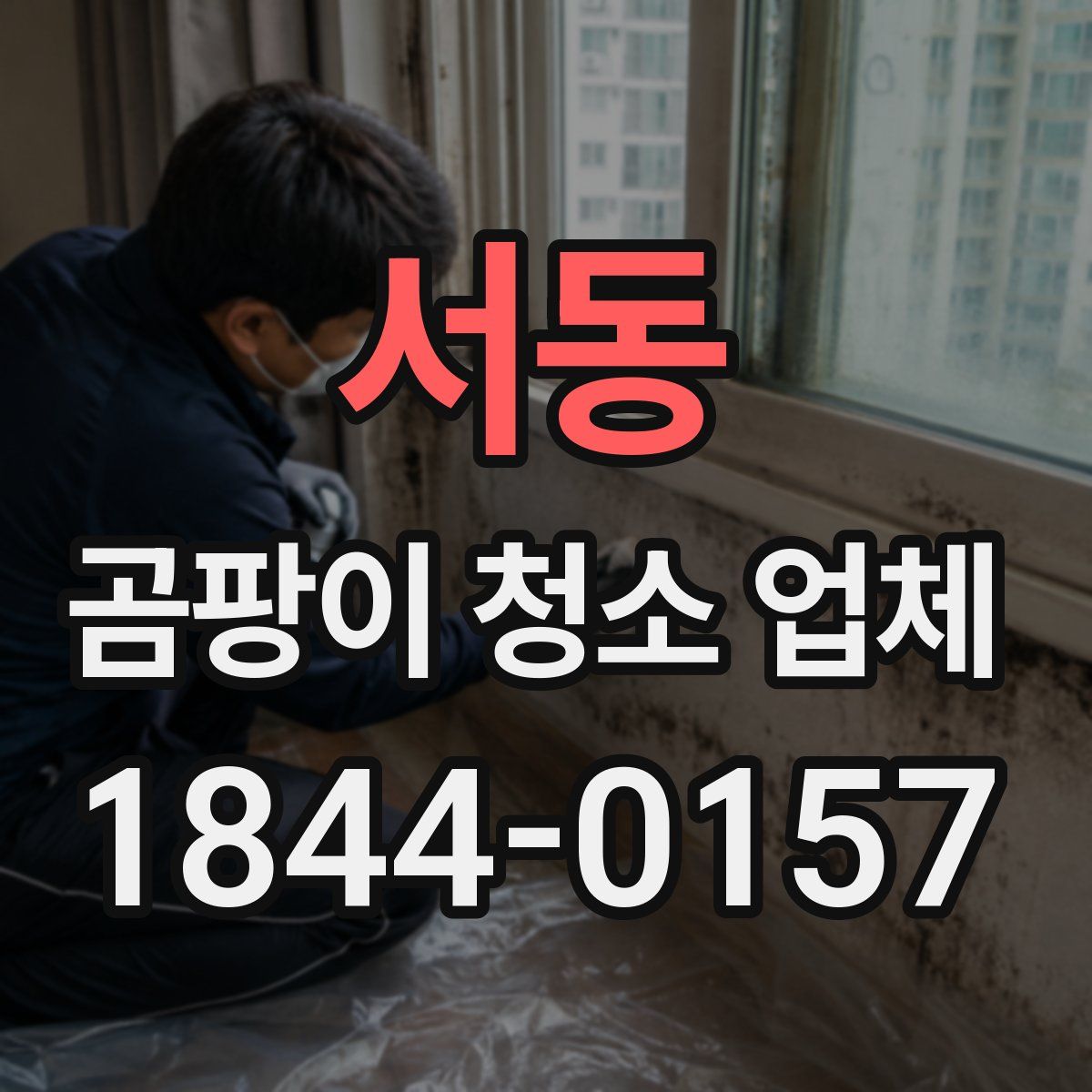 서동 곰팡이 청소 업체