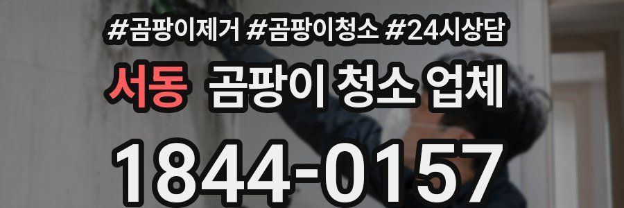 서동 곰팡이 청소 업체