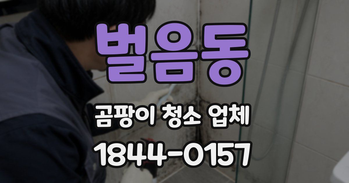 벌음동 곰팡이 청소 업체