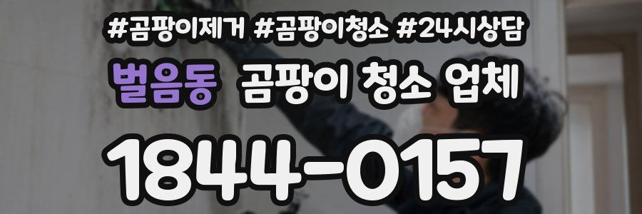벌음동 곰팡이 청소 업체