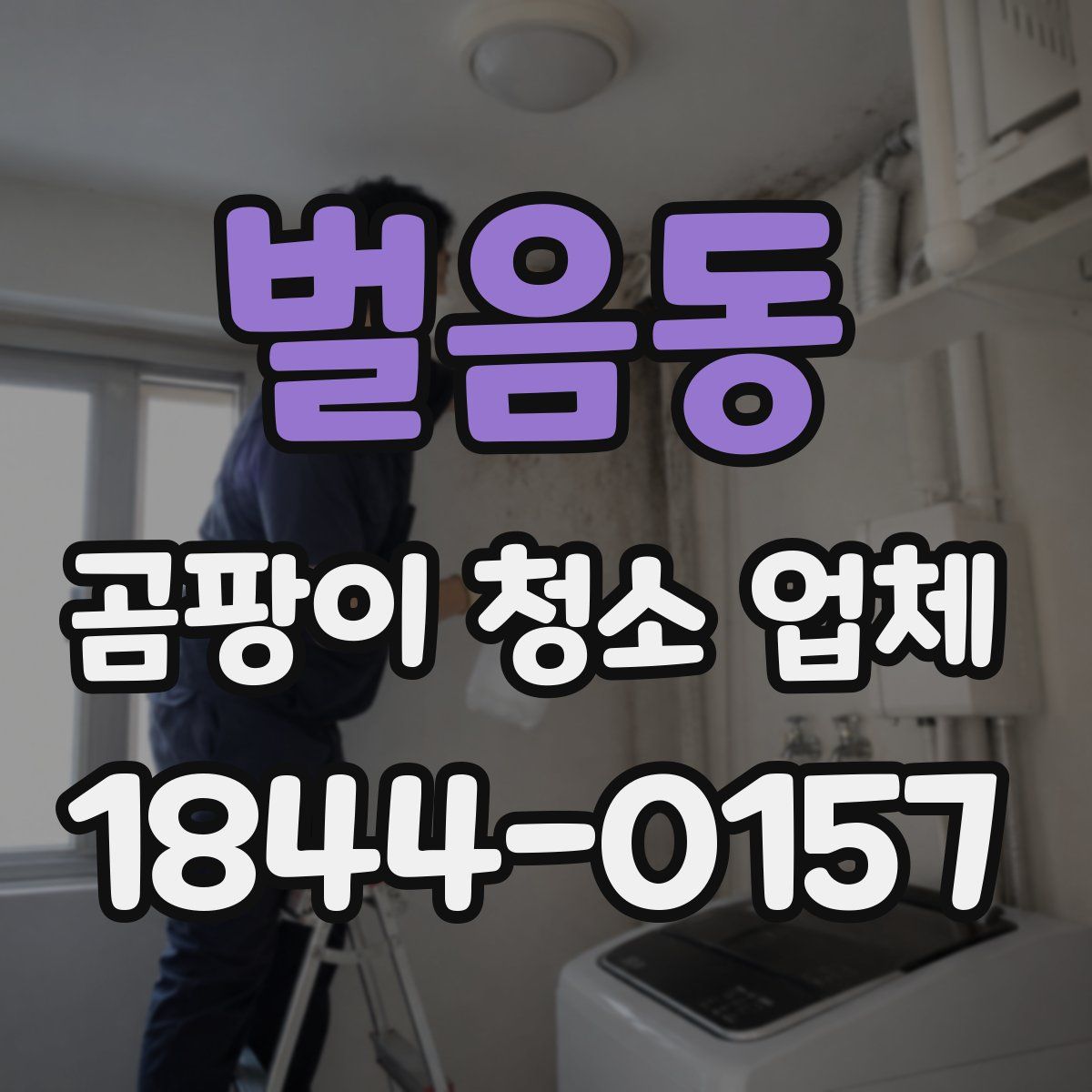 벌음동 곰팡이 청소 업체