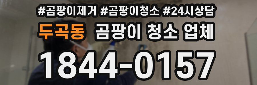 두곡동 곰팡이 청소 업체