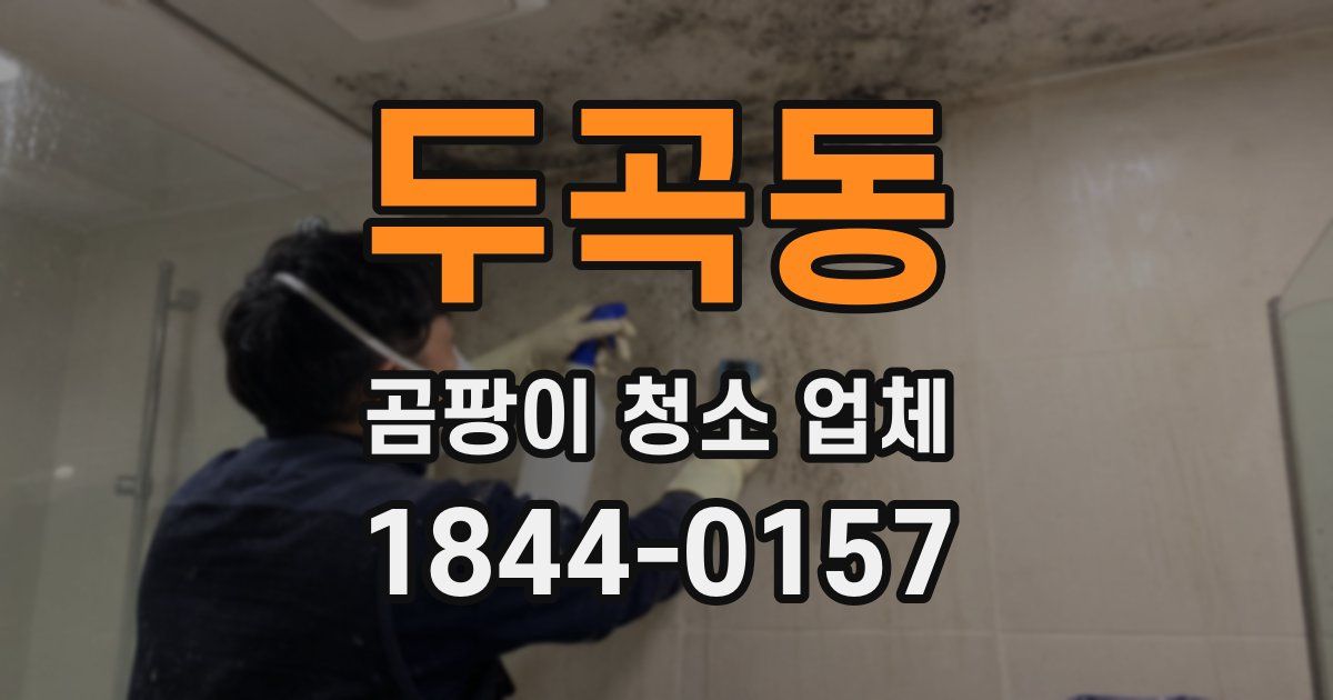 두곡동 곰팡이 청소 업체