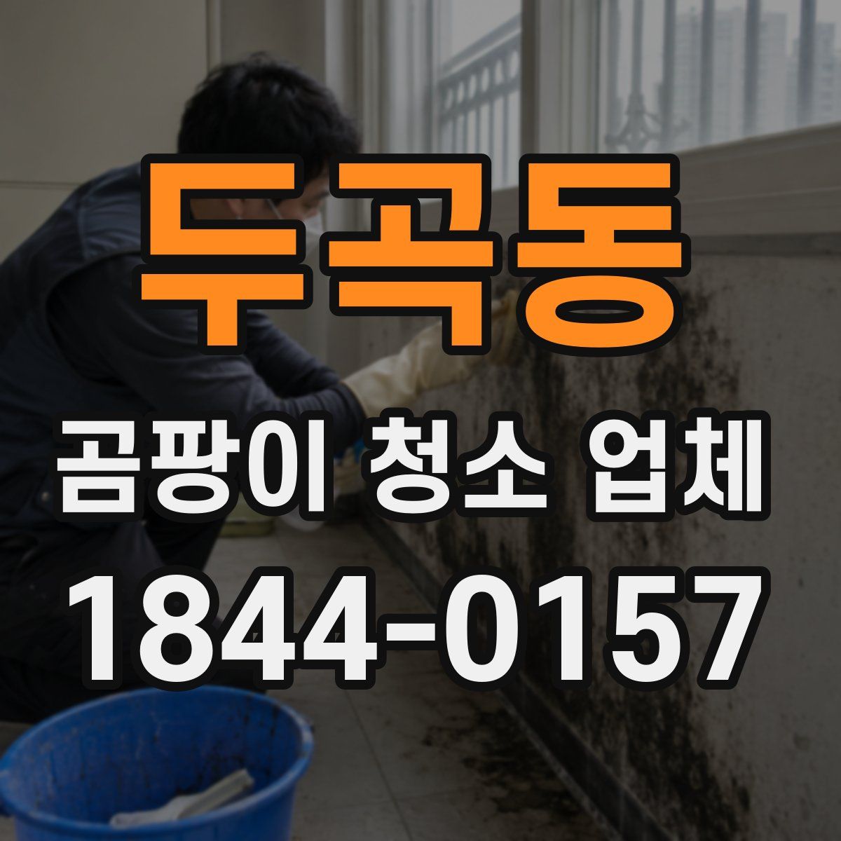 두곡동 곰팡이 청소 업체