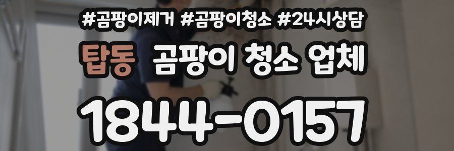 탑동 곰팡이 청소 업체