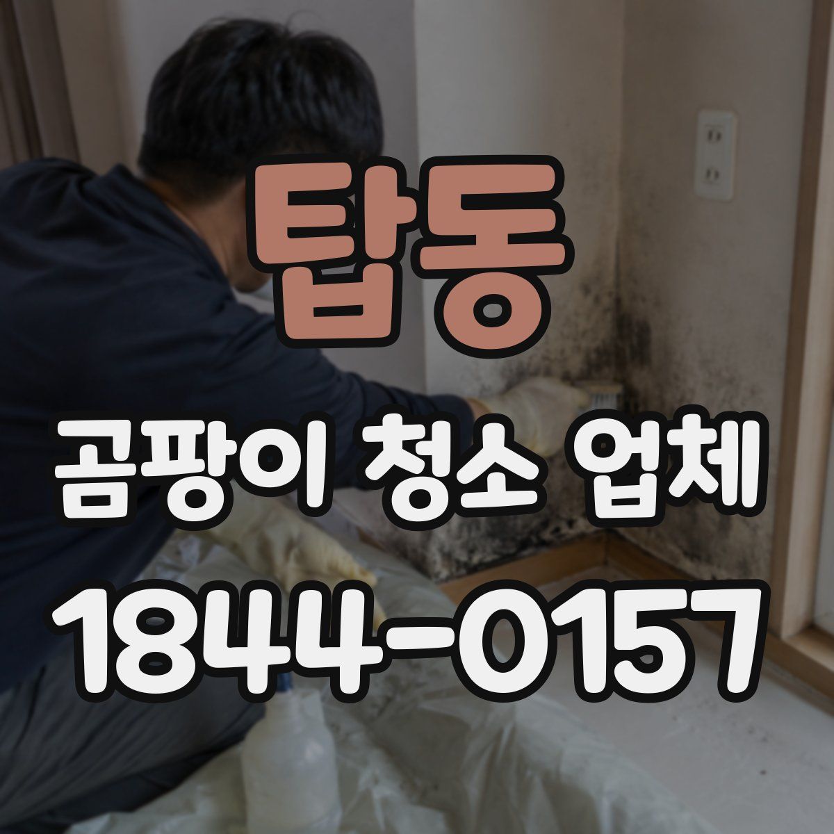 탑동 곰팡이 청소 업체
