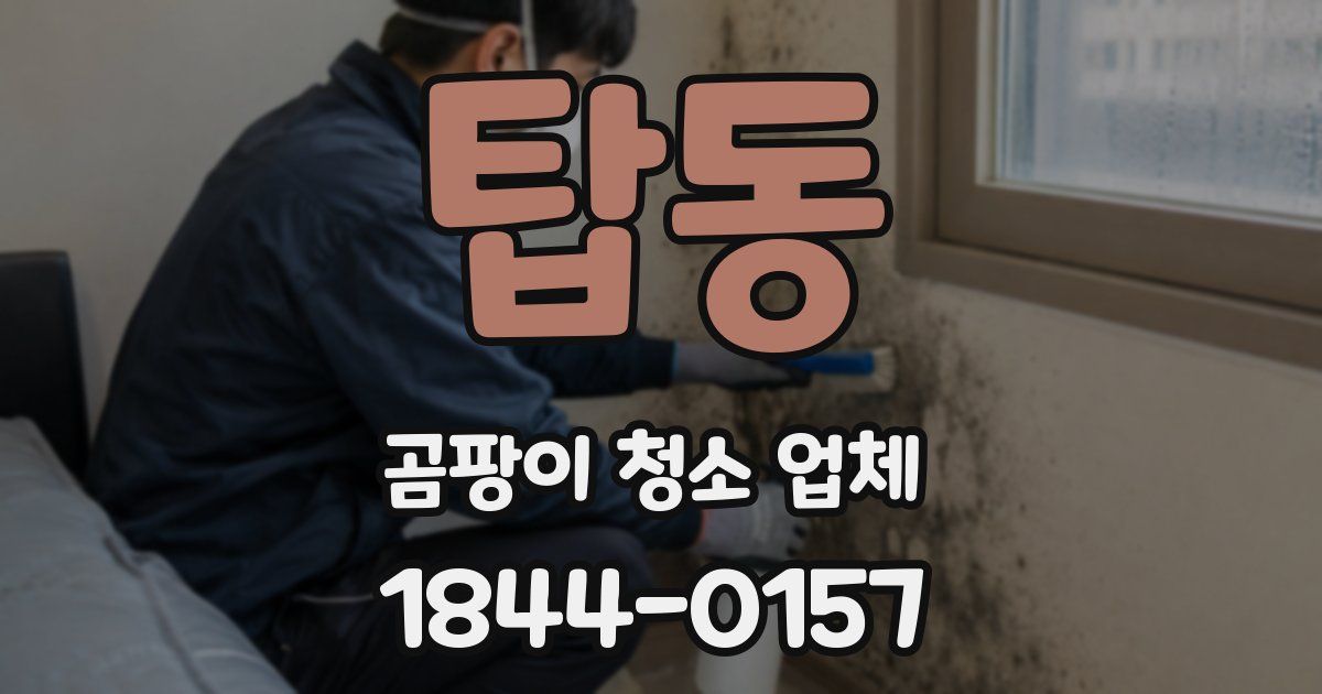 탑동 곰팡이 청소 업체