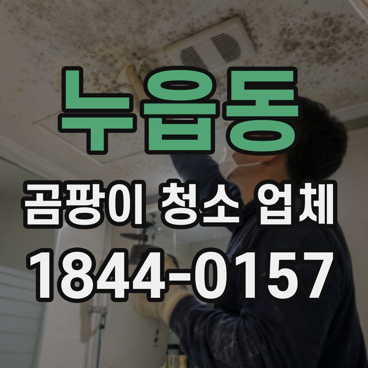 누읍동 곰팡이 청소 업체