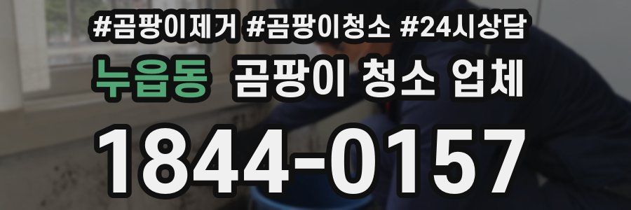 누읍동 곰팡이 청소 업체