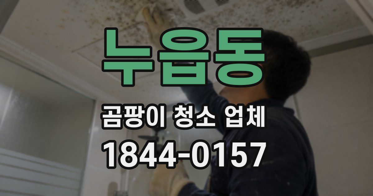 누읍동 곰팡이 청소 업체