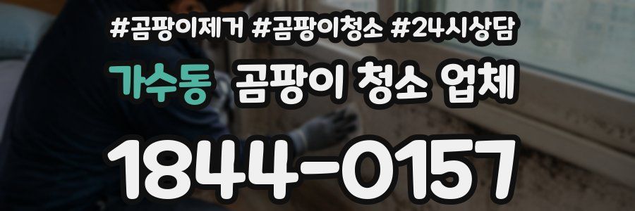 가수동 곰팡이 청소 업체