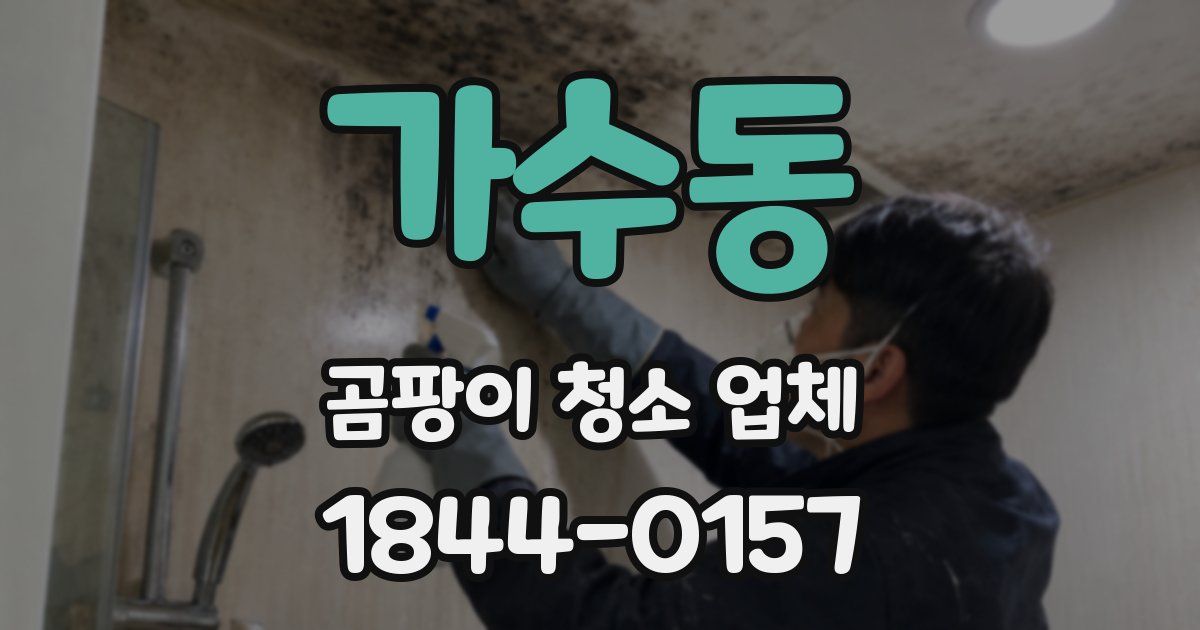 가수동 곰팡이 청소 업체