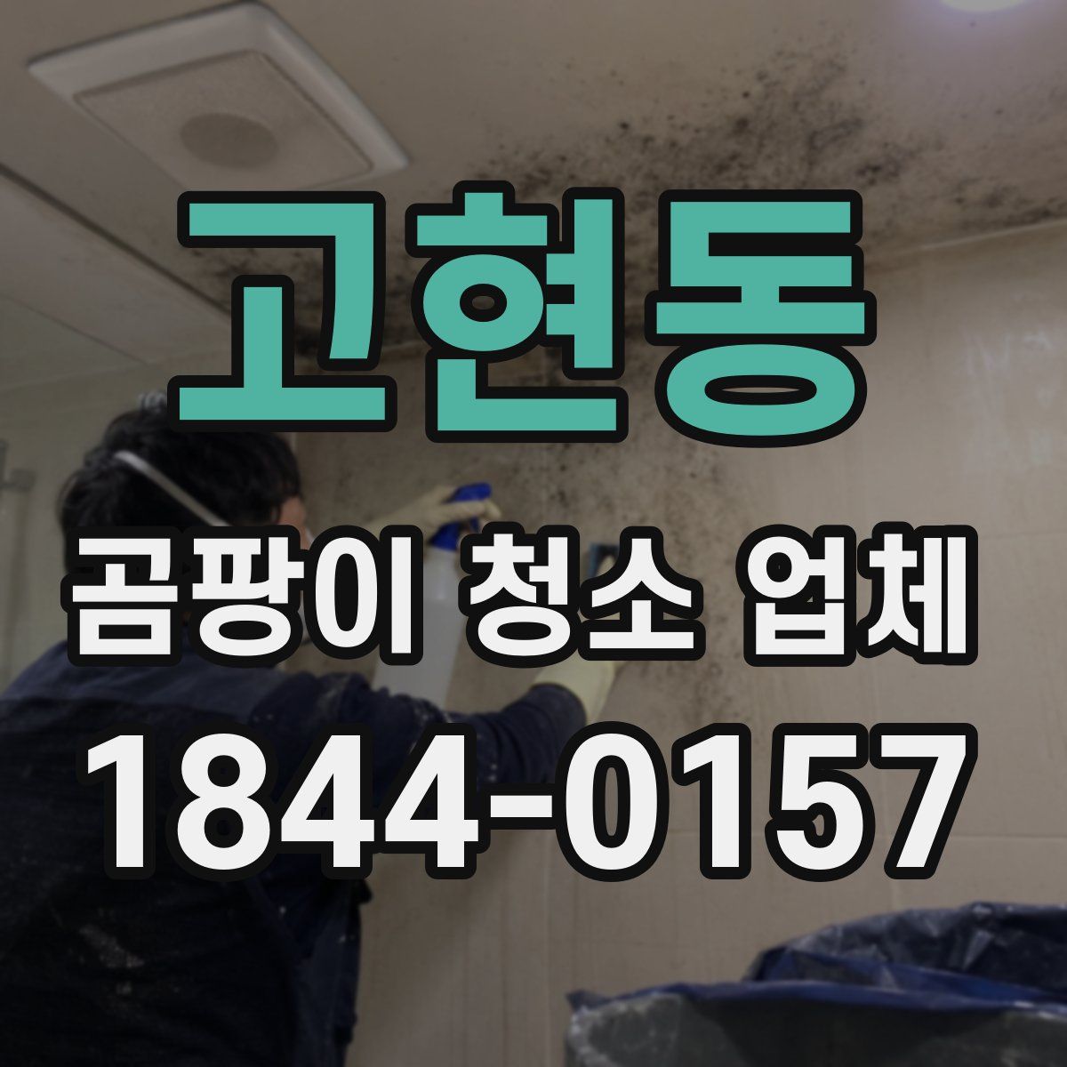 고현동 곰팡이 청소 업체