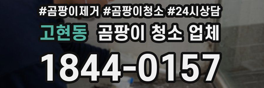 고현동 곰팡이 청소 업체