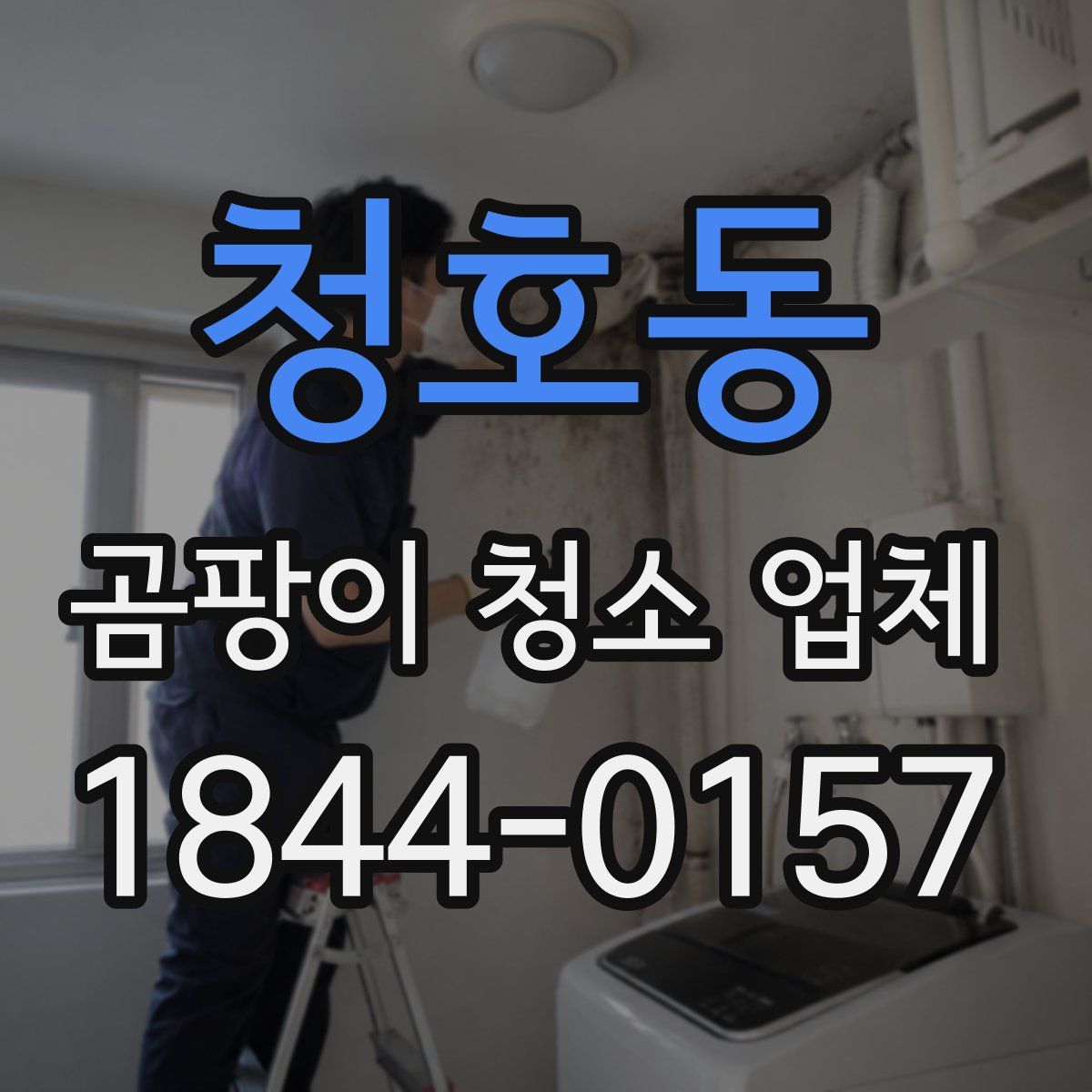 청호동 곰팡이 청소 업체