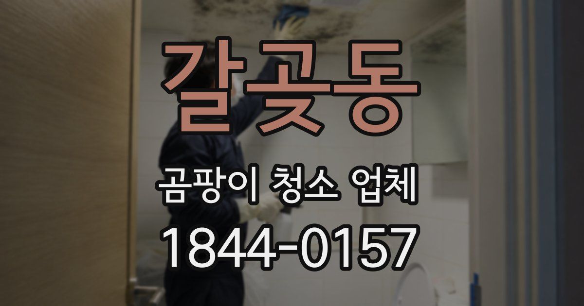 갈곶동 곰팡이 청소 업체