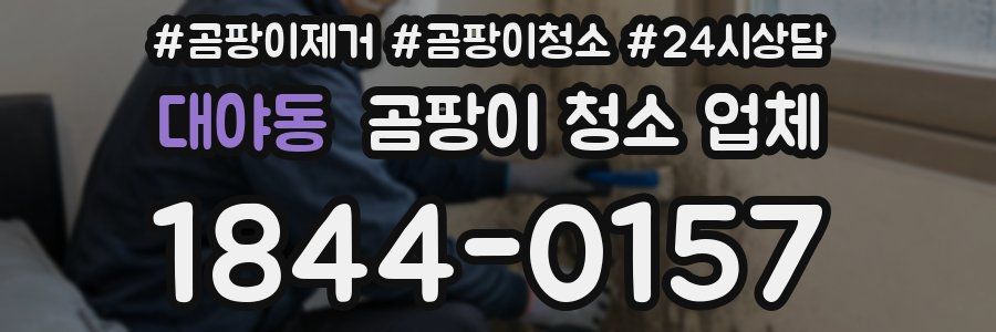 대야동 곰팡이 청소 업체