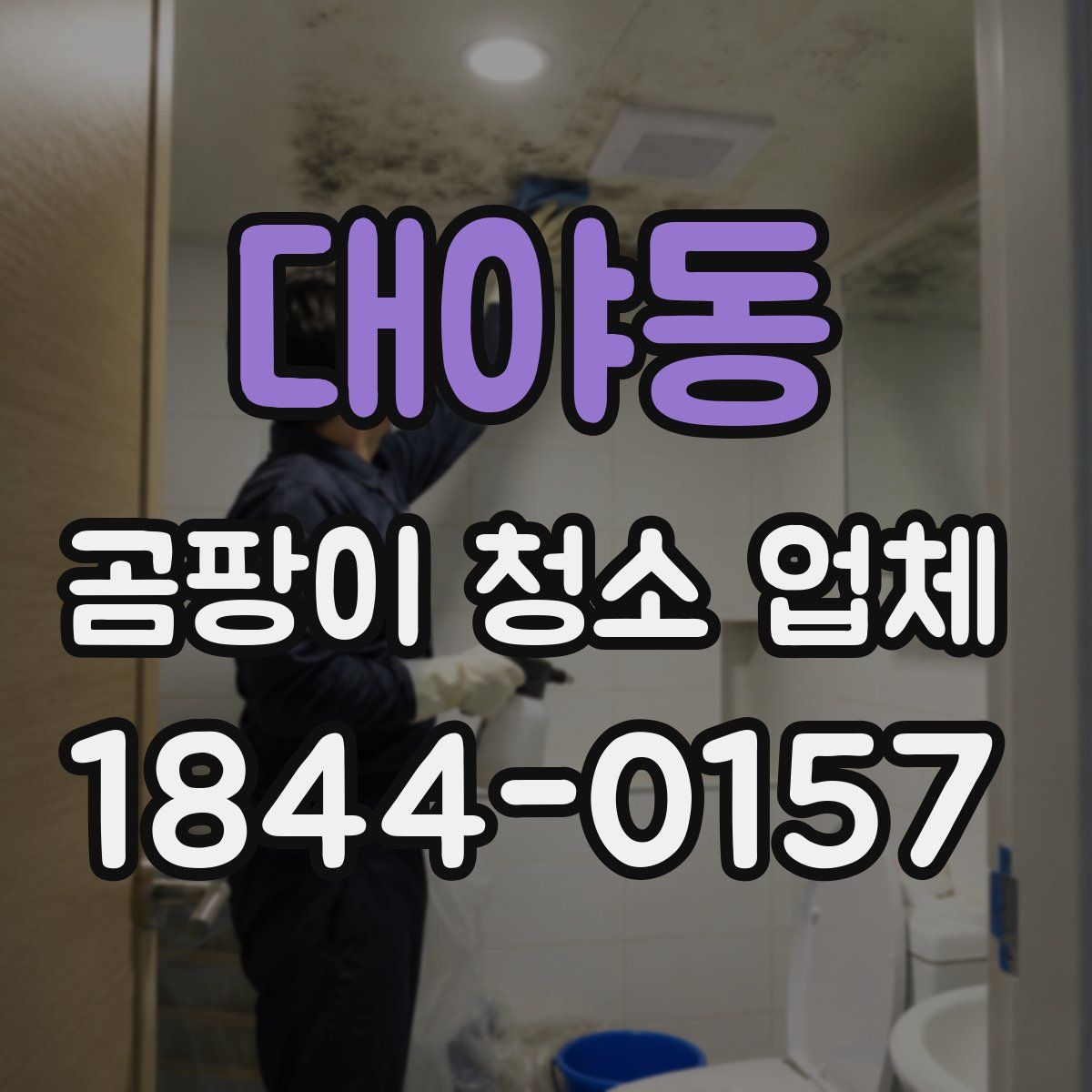 대야동 곰팡이 청소 업체