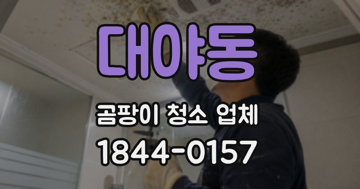 대야동 곰팡이 청소 업체