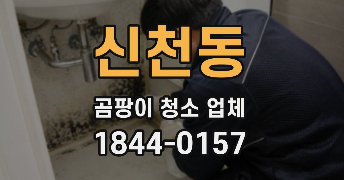 신천동 곰팡이 청소 업체