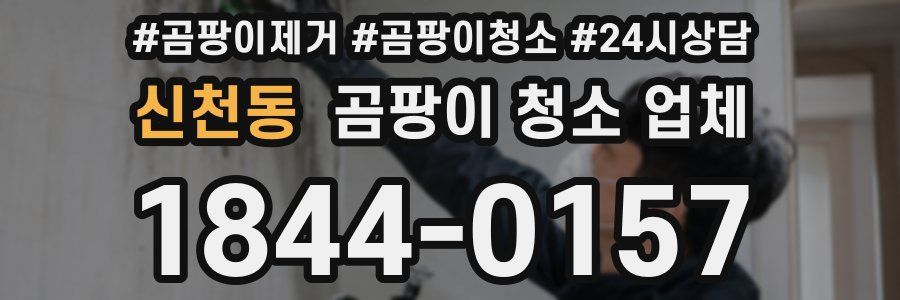 신천동 곰팡이 청소 업체