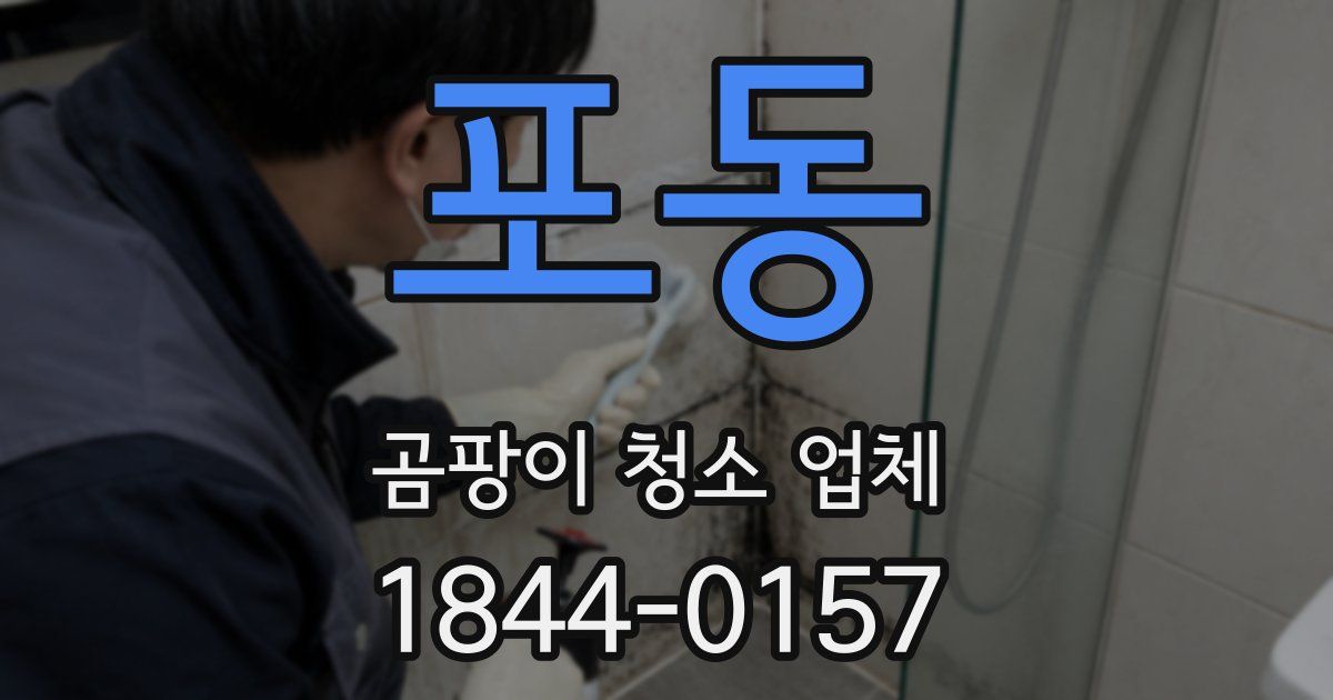 포동 곰팡이 청소 업체