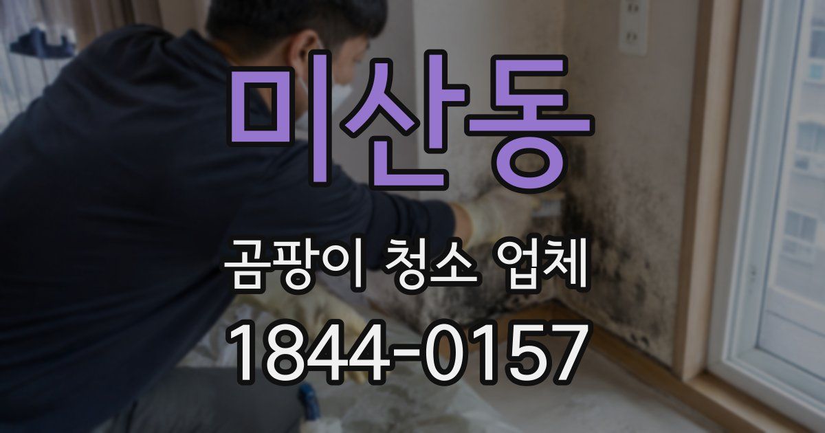 미산동 곰팡이 청소 업체