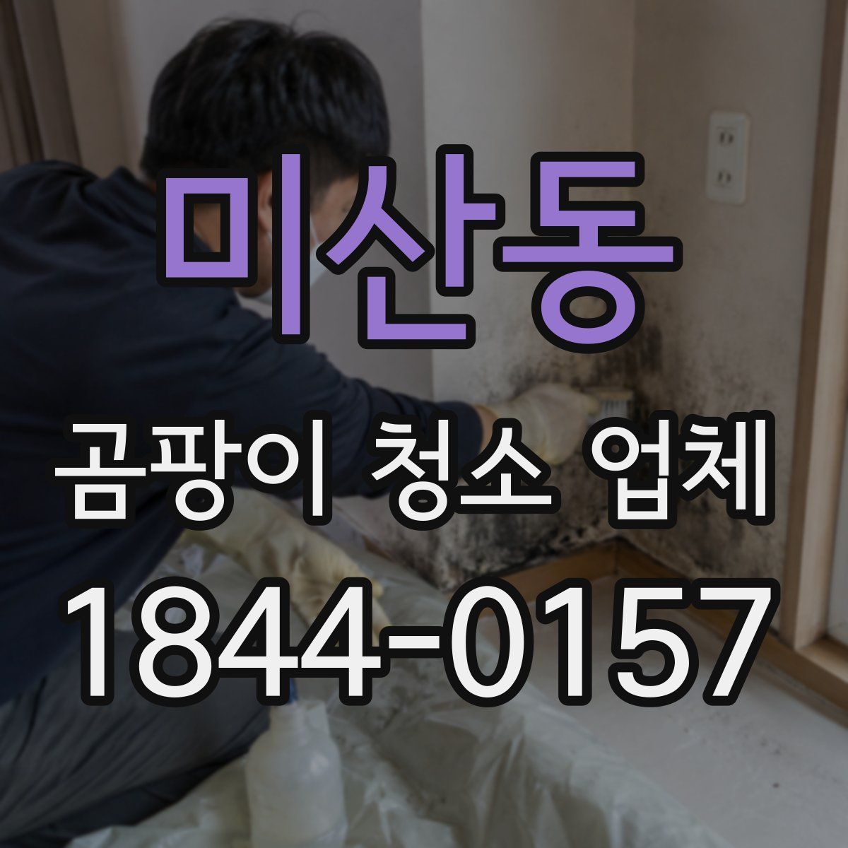 미산동 곰팡이 청소 업체