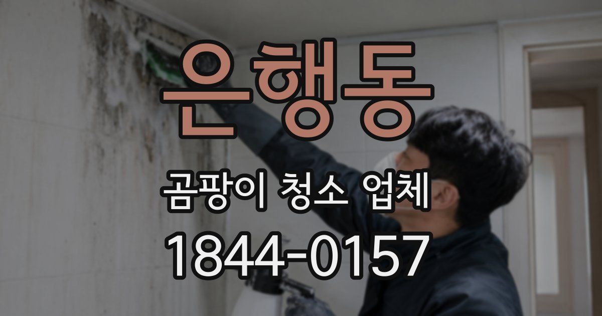 은행동 곰팡이 청소 업체