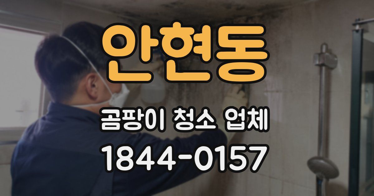안현동 곰팡이 청소 업체