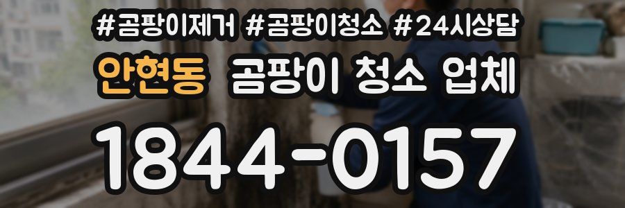 안현동 곰팡이 청소 업체