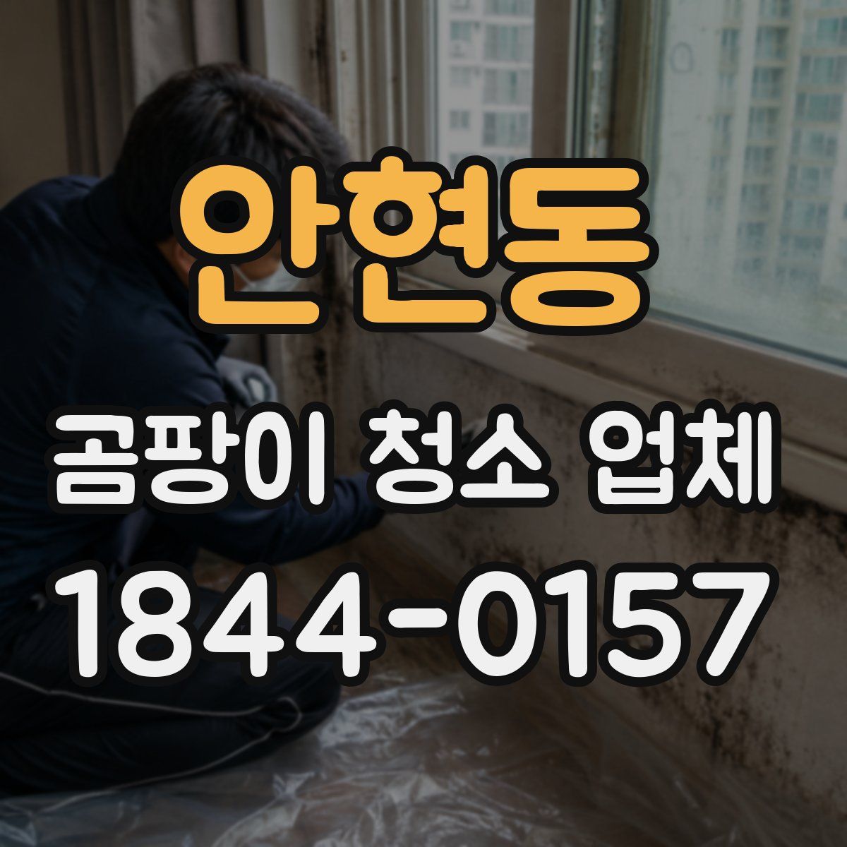 안현동 곰팡이 청소 업체
