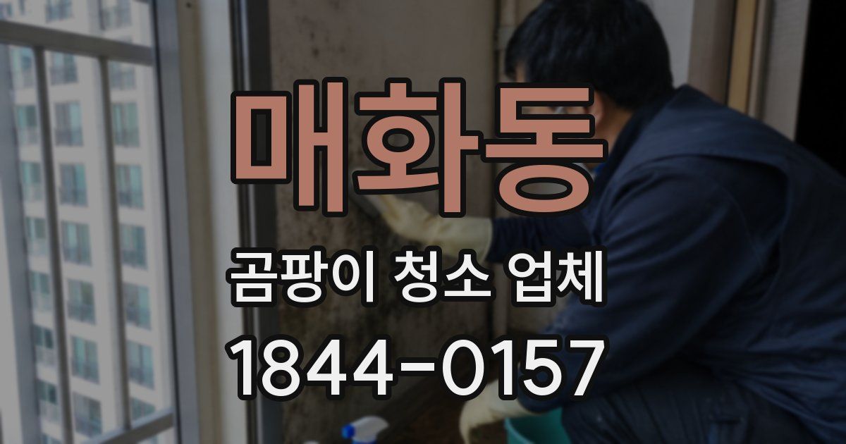 매화동 곰팡이 청소 업체