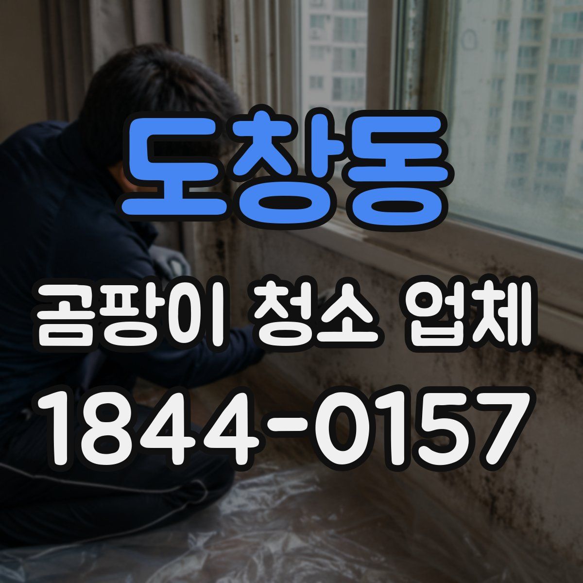 도창동 곰팡이 청소 업체