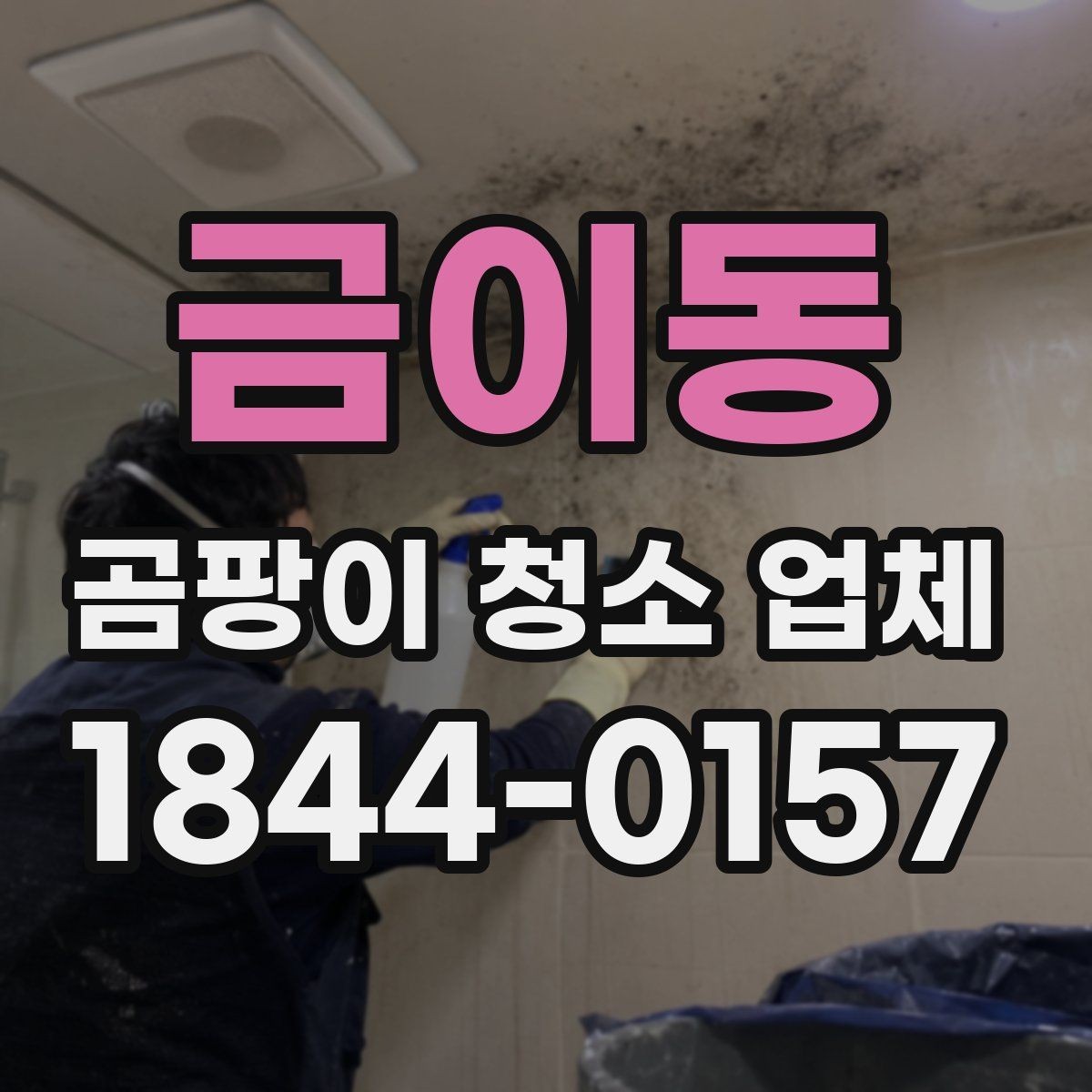 금이동 곰팡이 청소 업체 세입자와 집주인 책임을 나눌 때 살필 항목