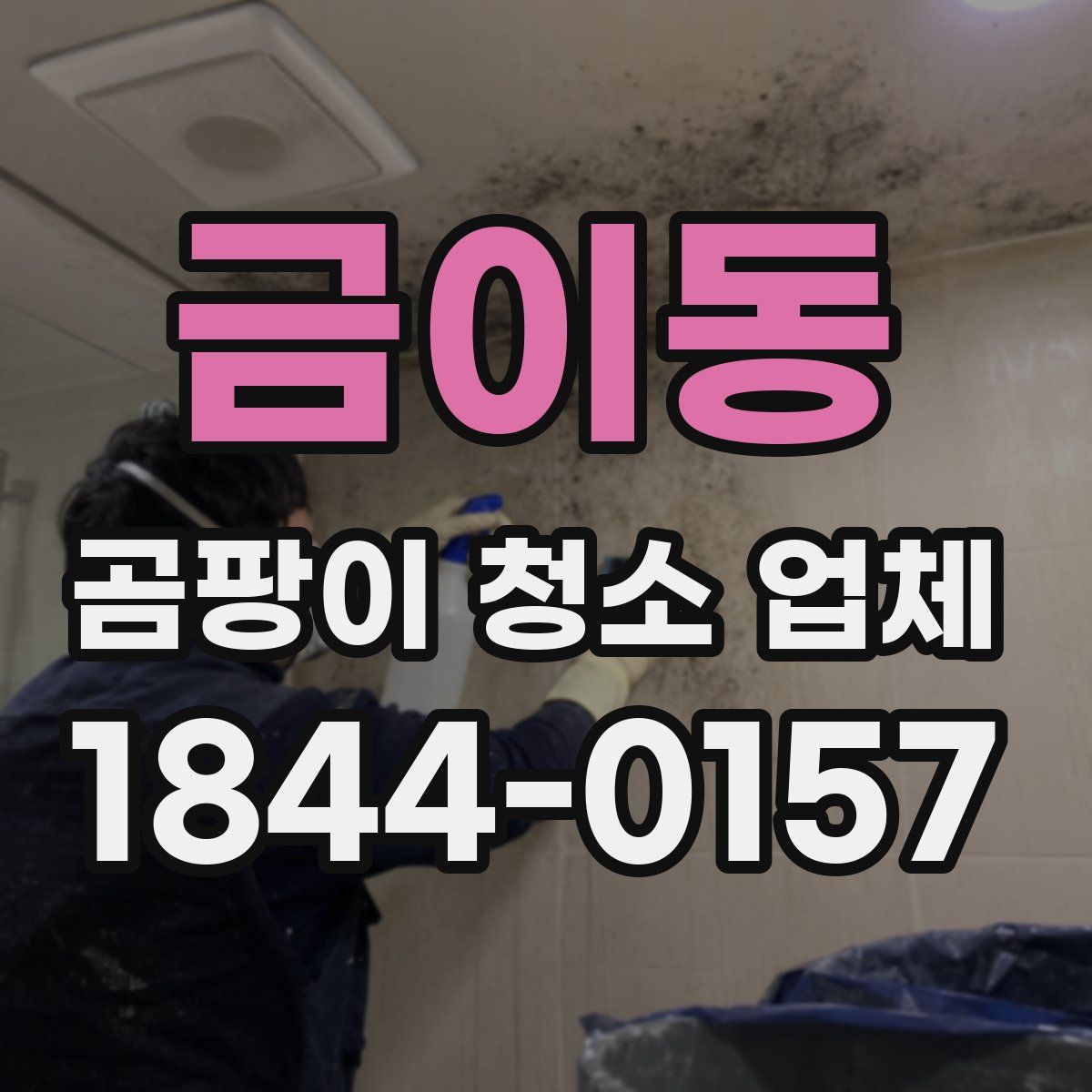 금이동 곰팡이 청소 업체