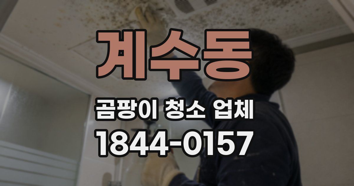 계수동 곰팡이 청소 업체