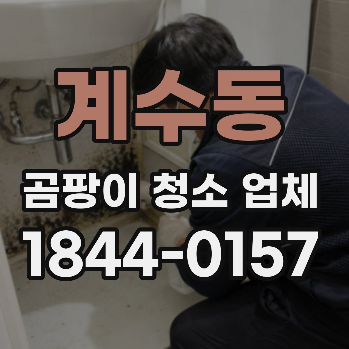 계수동 곰팡이 청소 업체