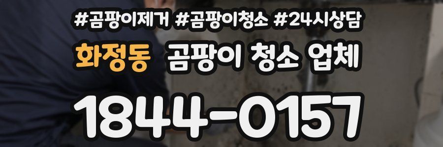 화정동 곰팡이 청소 업체