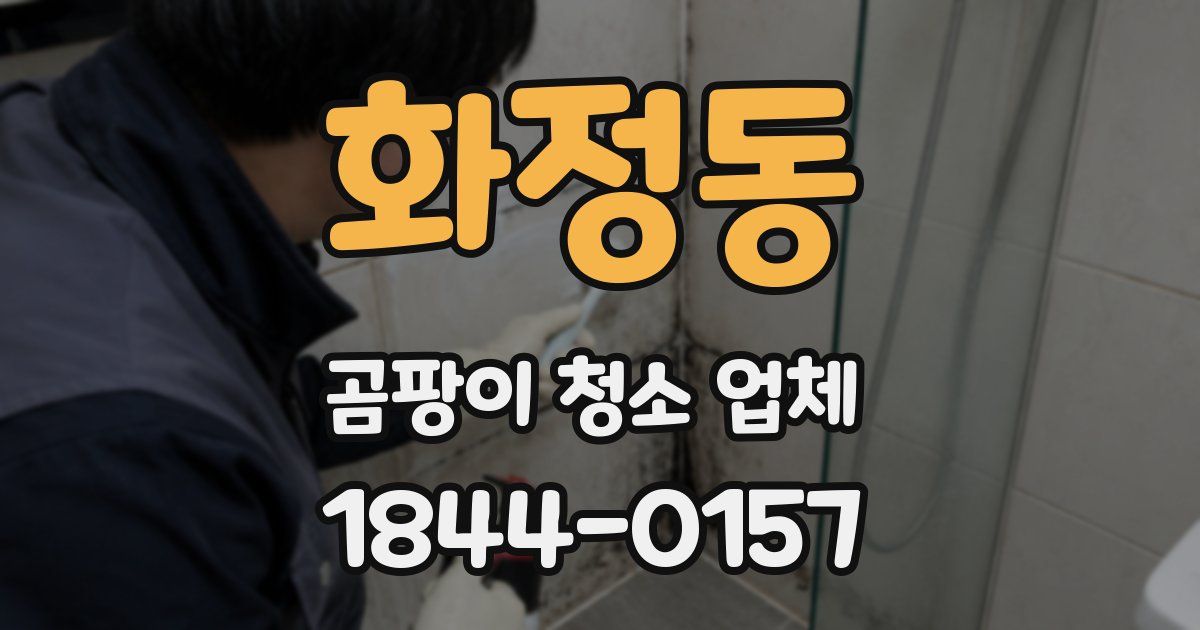화정동 곰팡이 청소 업체