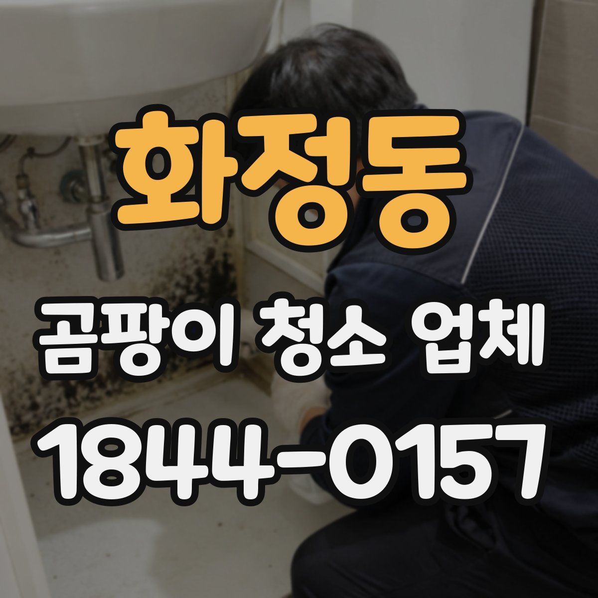 화정동 곰팡이 청소 업체